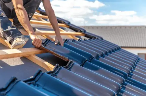 Couverture - Coadout